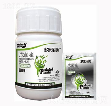 20%�����-���ט���-������