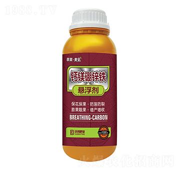 �}�V���\�F-���R������-�ְ�ʘI(y��)