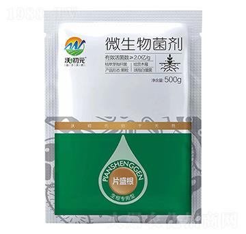 生根專用型片盛根-沃初元