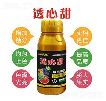 ͸����-���r(n��ng)��(y��u)��-���r(n��ng)����