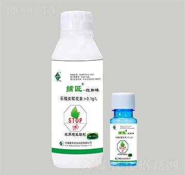 �r����Ч����-�������t֩�댣�ã�-�v�S�r�I(y��)