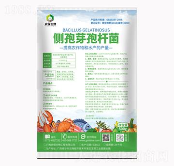 側(cè)孢芽孢桿菌-農(nóng)保生物