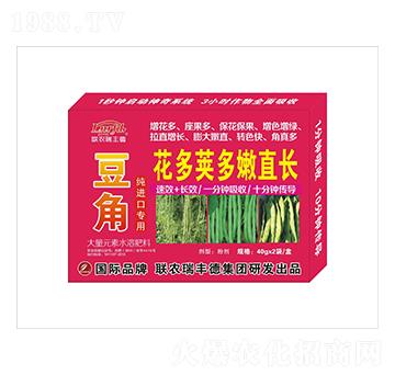 豆角純進(jìn)口專用花多莢多嫩直長(zhǎng)-聯(lián)農(nóng)瑞豐德