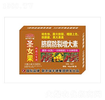 ����Ԫ��ˮ�ܷ�-ʥŮ�����M�ڌ���-Ě������������-���S��