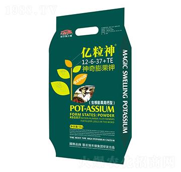 ��������12-6-37+TE-�|����-���S��