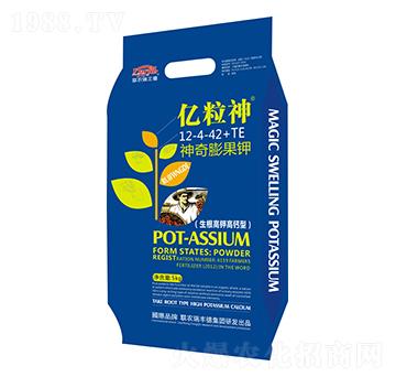 ��������12-4-42+TE-�|����-���S��