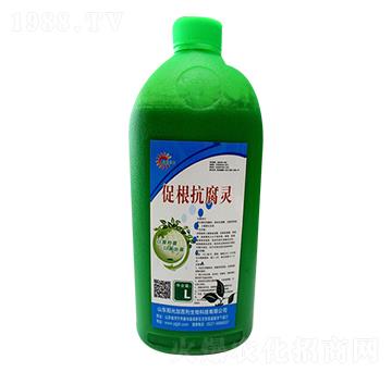 �ٸ������`-ꖹ�Ӱ���