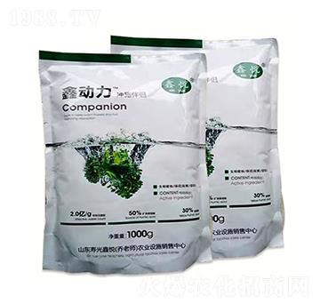 �΄����_ʩ��H-�ΐ��r�I(y��)