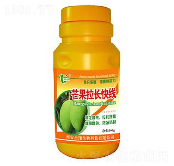 芒果拉長快線-杰翔生物