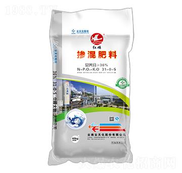 ���׷�ʓ������31-0-5-�t��-���o(j��)����