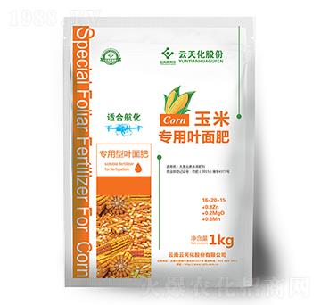 ���컯���׌����~���-���o(j��)����