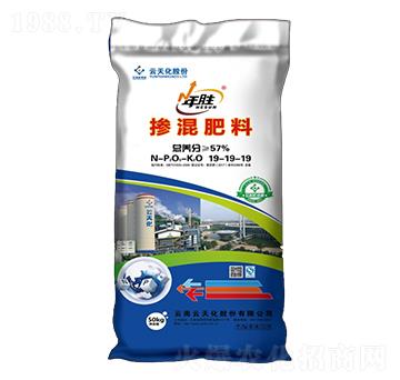 �������19-19-19-���-���o(j��)����