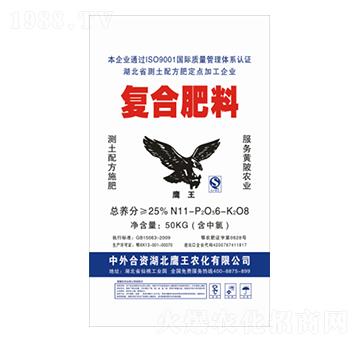 25%�ͺϷ���11-6-8-�����в�-�Z������