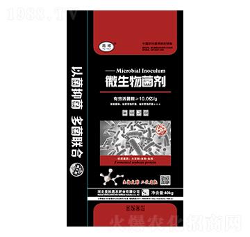 ΢���������-�ꕟ-��