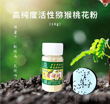 �J���ҟo(w��)�����Ի���-������-��������