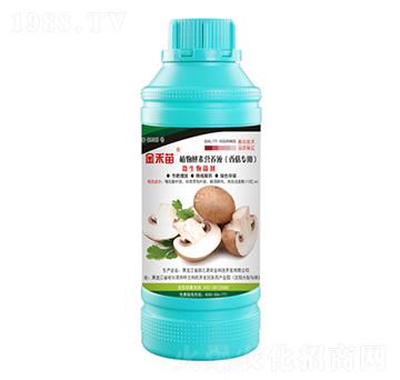 香菇專用植物酵素營養(yǎng)液-金禾苗-田之源