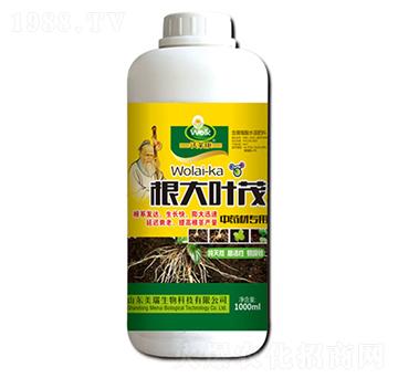 �����~ï-��������