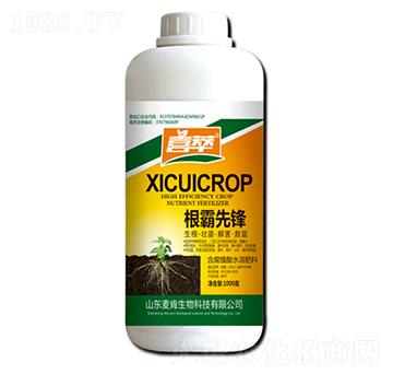 �������h-ϲ��-��������