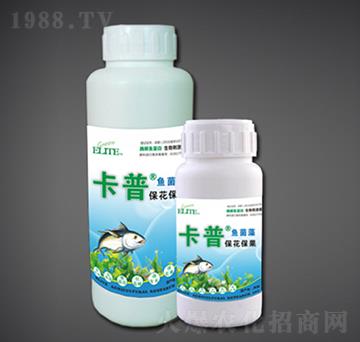 ����������ø���~����-�G�����