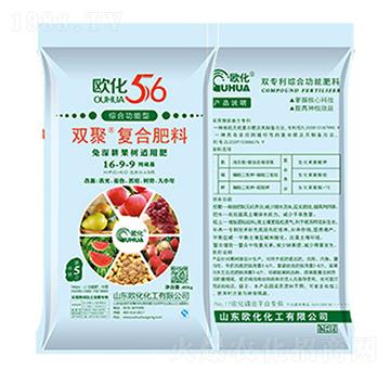 ����������m�ÏͺϷ���