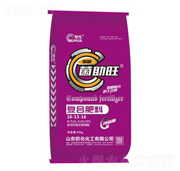 �������ͺϷ���16-13-16-�W��