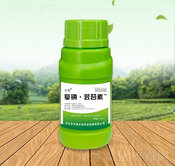 ȫ����c���|̦��-��Ԫ��