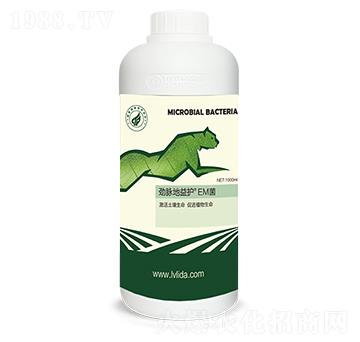 �����o��EM��-���}