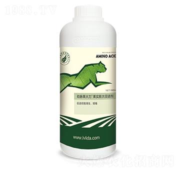 ����������ֳ���M��-������-���}