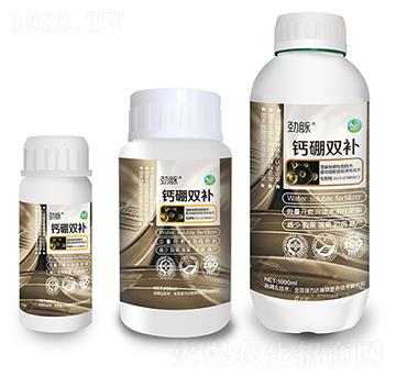 �}���p�a-���}