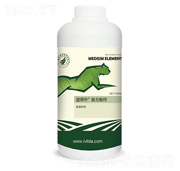 ��S��ͺ����}-���}