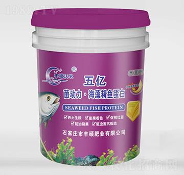 ��|����(d��ng)�������徫�~����-�S�T���r(n��ng)