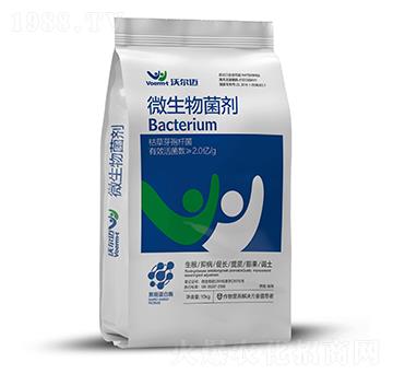 ΢�������-�֠��~