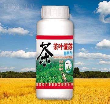 茶葉催芽營養(yǎng)劑-京九