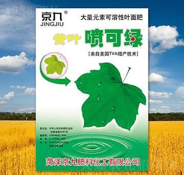 黃葉噴可綠-京九