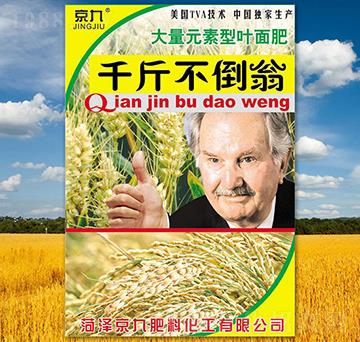 千斤不倒翁-京九