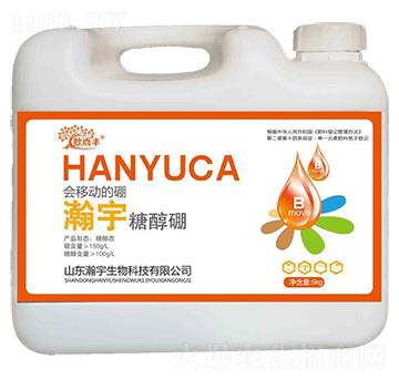 �Ǵ���-�������