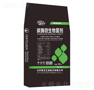 ̼ø΢����������ڣ�-�������