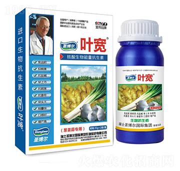 蔥姜蒜專用葉面肥-多糖生物酶誘抗肽-葉寬-圣博爾生物