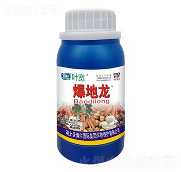 爆地龍-葉寬-圣博爾生物