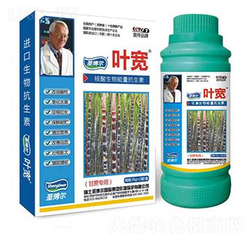 甘蔗專用葉面肥-多糖生物酶誘抗肽-葉寬-圣博爾生物