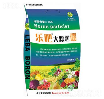 1000g���ɴ��w���𣨷ۄ���-��ꖉ�