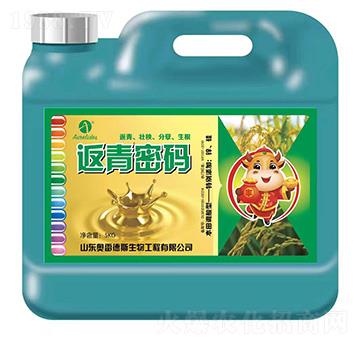 返青密碼-奧雷德斯