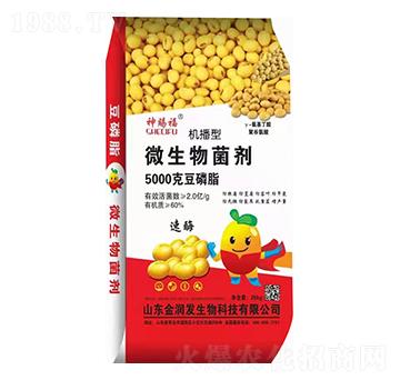 �C����΢�������-�𝙰l(f��)