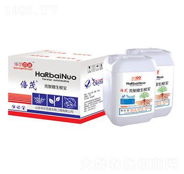 ������������-�A�����Z