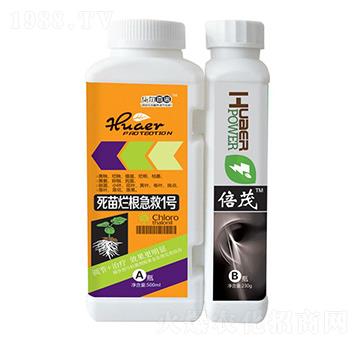 死苗爛根急救1號(hào)+倍茂-華爾百諾