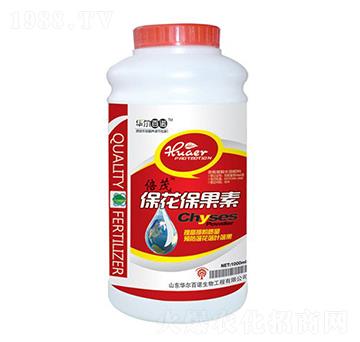 ����������-�A�����Z