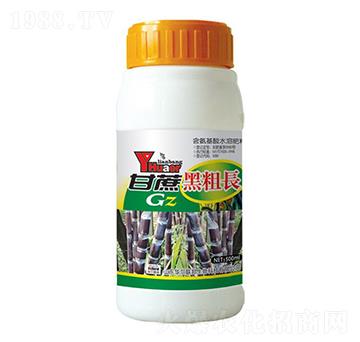 ����ڴ��L(zh��ng)-�A�����Z