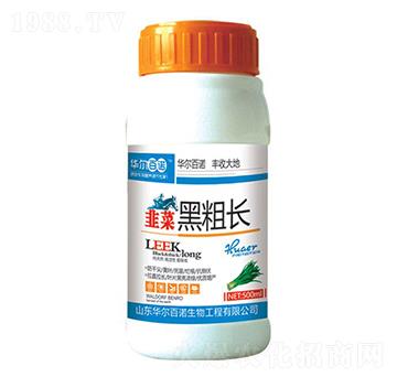 �²˺ڴ��L(zh��ng)-�A�����Z