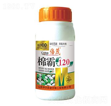 �ް�120-�A�����Z