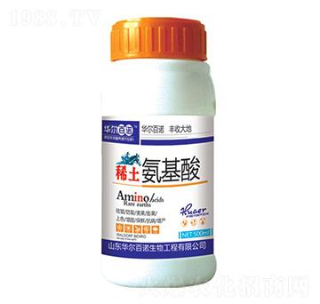 ϡ��������-�A�����Z